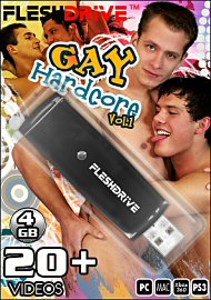 20+ Gay Hardcore vol. 1 Videos on 4gb usb FLESHDRIVE