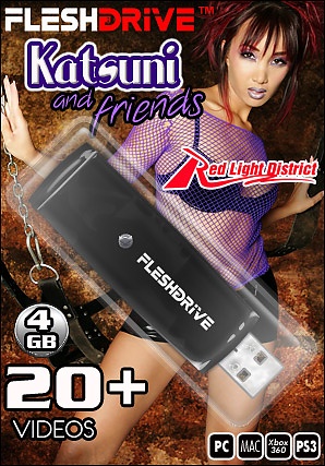 20+ Katsuni and Friends Videos on 4gb usb FLESHDRIVE&8482;