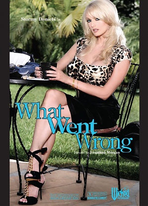 What Went Wrong (Stormy Daniels)