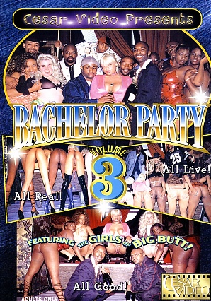 Bachelor Party 3