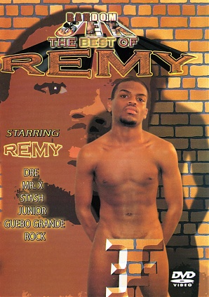 The Best Of Remy