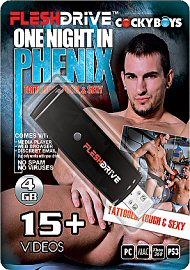 15+ One Night in Phenix Video on 4gb usb FLESHDRIVE (116594)