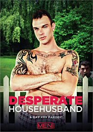 Desperate Househusbands (2017)