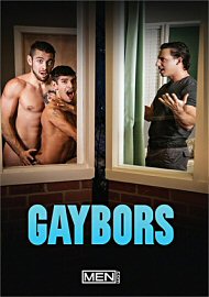 Gaybors (2020) (193667.4)