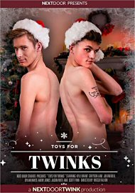 Toys For Twinks (2021) (207268.0)