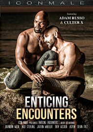 Enticing Encounters (2023) (216609.15)