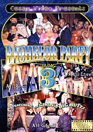 Bachelor Party 3 (73116.0)