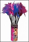 Adult DVD Details