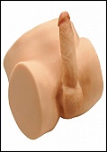 Gay Sex Toys Details (106874.1)