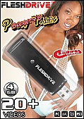 20+ Shawtys Pussy Tales 4gb usb FLESHDRIVE (112772)