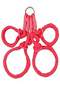 Adult Toy Details (118986.0)
