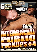 Interracial Public Pickups 4 (2017)