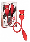 Adult Sex Toy Details Adult Sex Toy Details