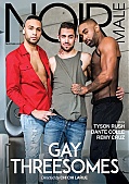 Gay DVD Details