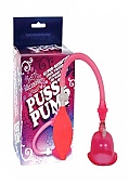 Adult Toys
