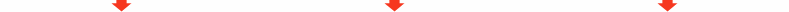 Adult DVDs, Adult Toys, FleshDrives